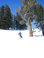 images/small/small_101-0145_img-test_edited.jpg