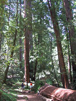 images/small/small_104-0424_IMG.jpg