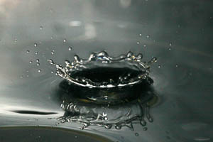 images/small/small_IMG_6684_edited-1.jpg